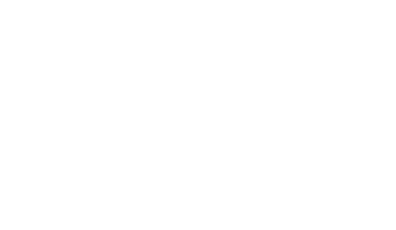 TFS šovs